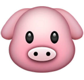 pig